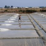 Marais salants - visite - Gîte de La Hautardière