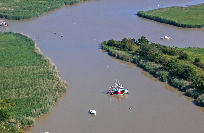 L'Estuaire de La Loire - Gîte de la Hautardière